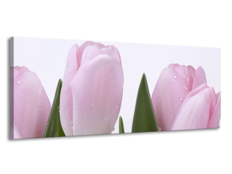 Canvas Schilderij Tulpen, Bloemen | Roze, Wit | 145x58cm 1Luik