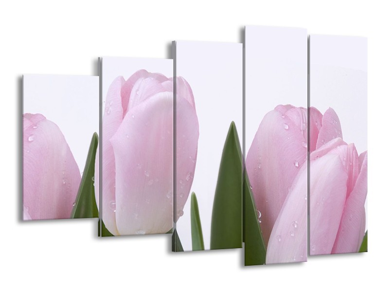 Glasschilderij Tulpen, Bloemen | Roze, Wit | 150x100cm 5Luik