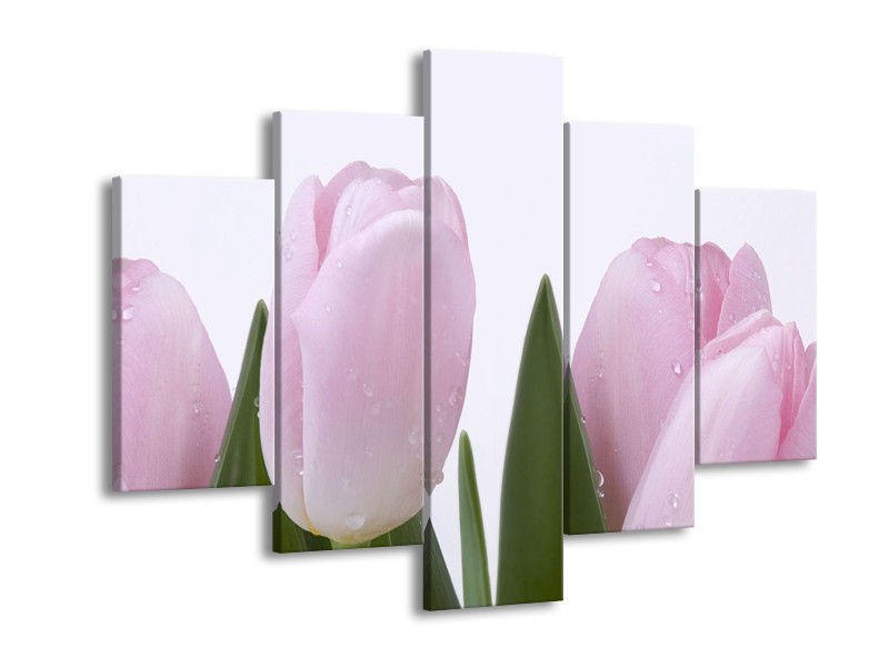 Glasschilderij Tulpen, Bloemen | Roze, Wit | 150x105cm 5Luik