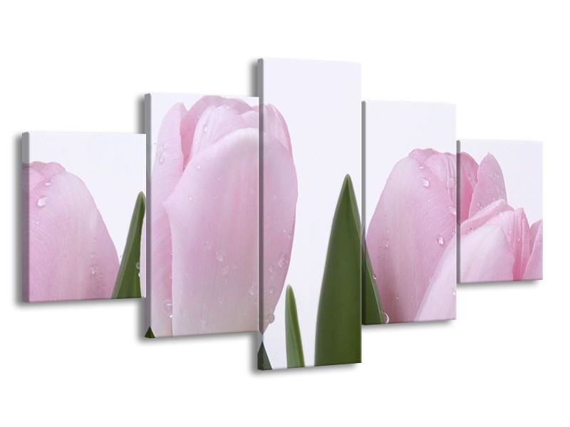 Glasschilderij Tulpen, Bloemen | Roze, Wit | 150x80cm 5Luik