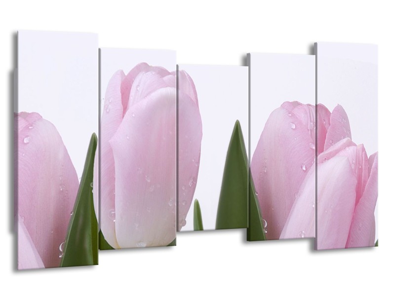 Canvas Schilderij Tulpen, Bloemen | Roze, Wit | 150x80cm 5Luik