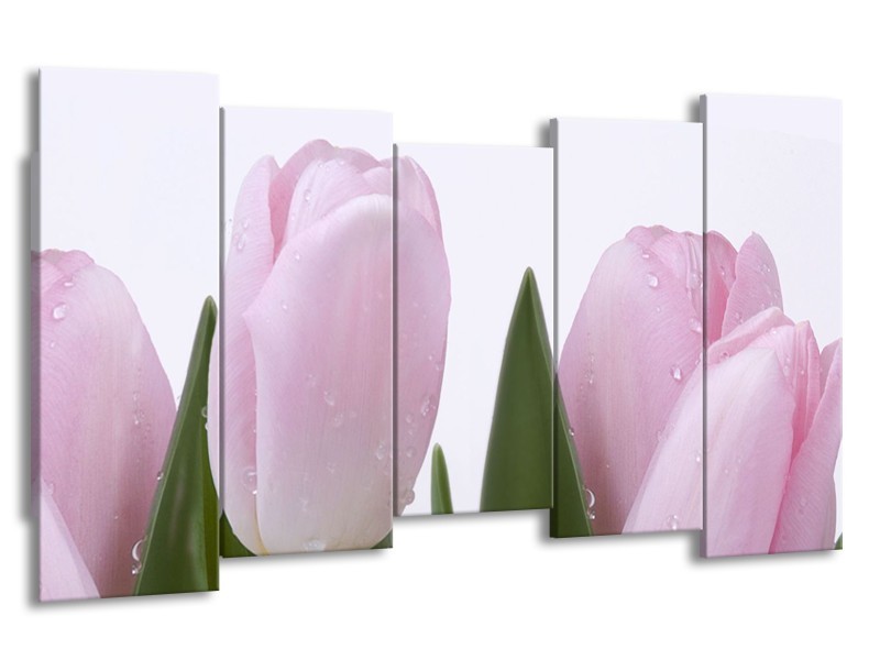 Glasschilderij Tulpen, Bloemen | Roze, Wit | 150x80cm 5Luik