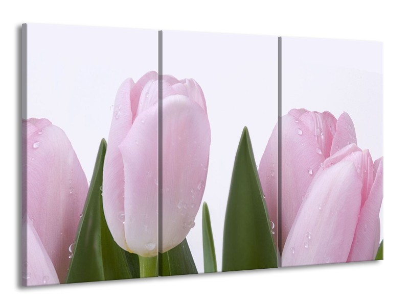 Glasschilderij Tulpen, Bloemen | Roze, Wit | 165x100cm 3Luik