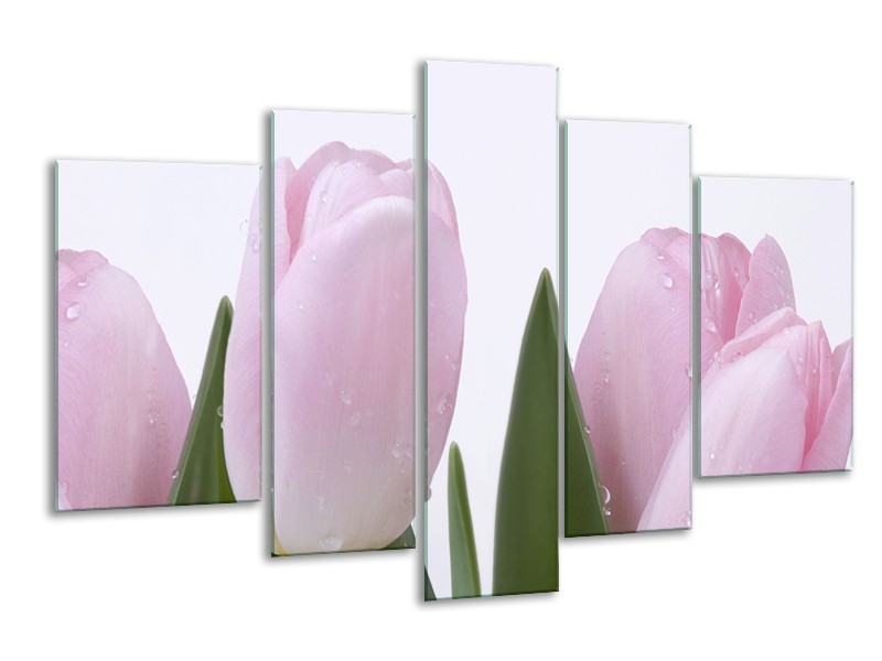 Canvas Schilderij Tulpen, Bloemen | Roze, Wit | 170x100cm 5Luik