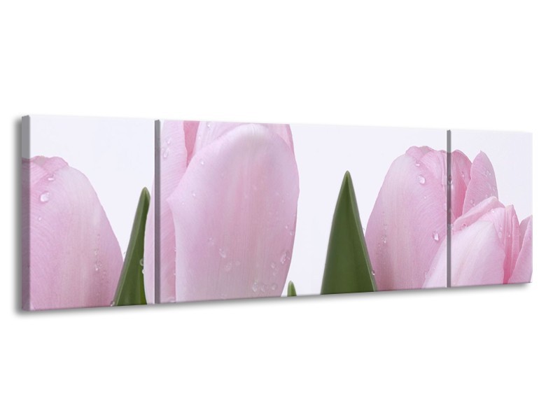 Canvas Schilderij Tulpen, Bloemen | Roze, Wit | 170x50cm 3Luik