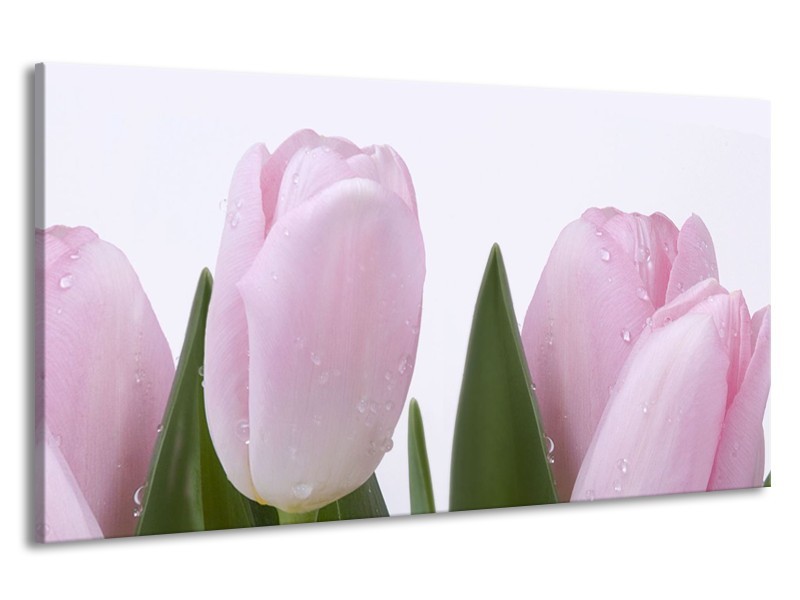 Canvas Schilderij Tulpen, Bloemen | Roze, Wit | 190x100cm 1Luik