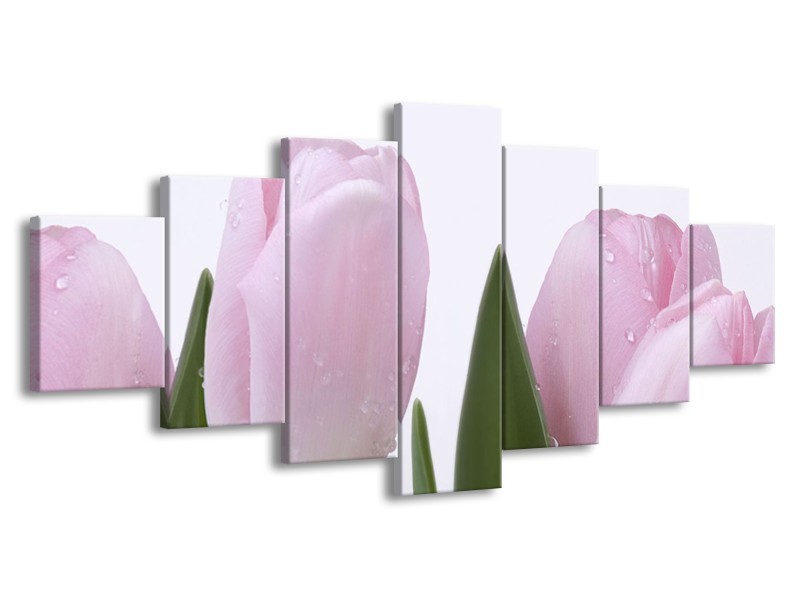 Canvas Schilderij Tulpen, Bloemen | Roze, Wit | 210x100cm 7Luik