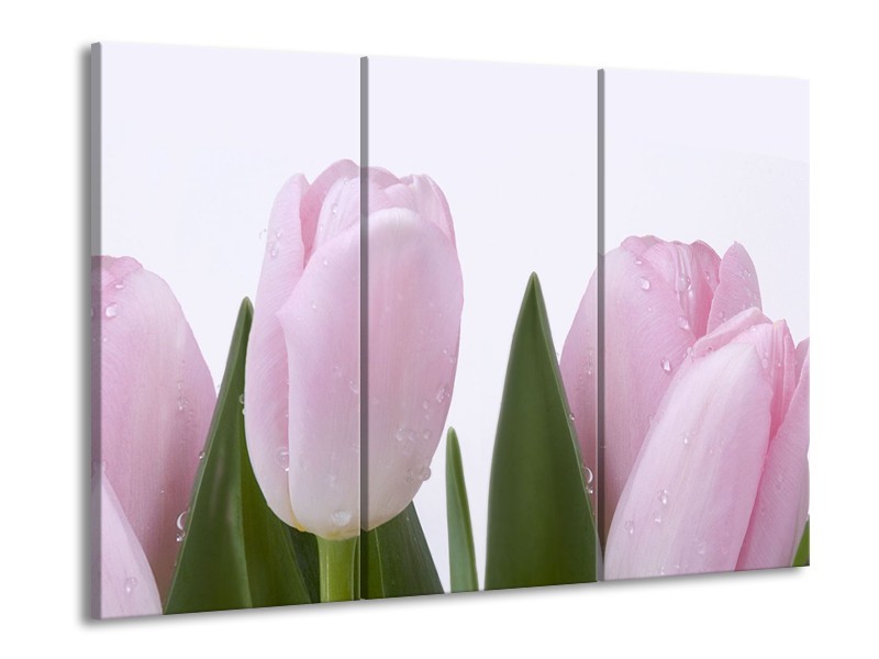 Canvas Schilderij Tulpen, Bloemen | Roze, Wit | 60x90cm 3Luik