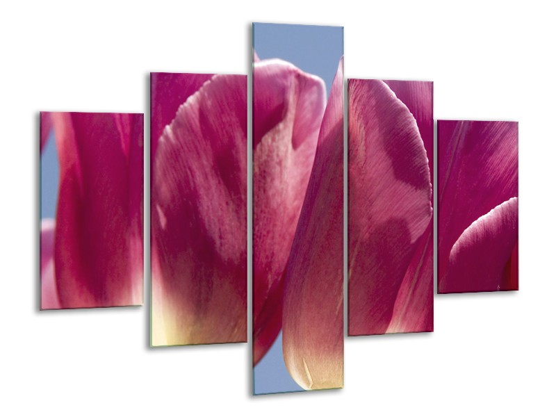 Canvas Schilderij Tulpen, Bloemen | Roze, Paars | 100x70cm 5Luik
