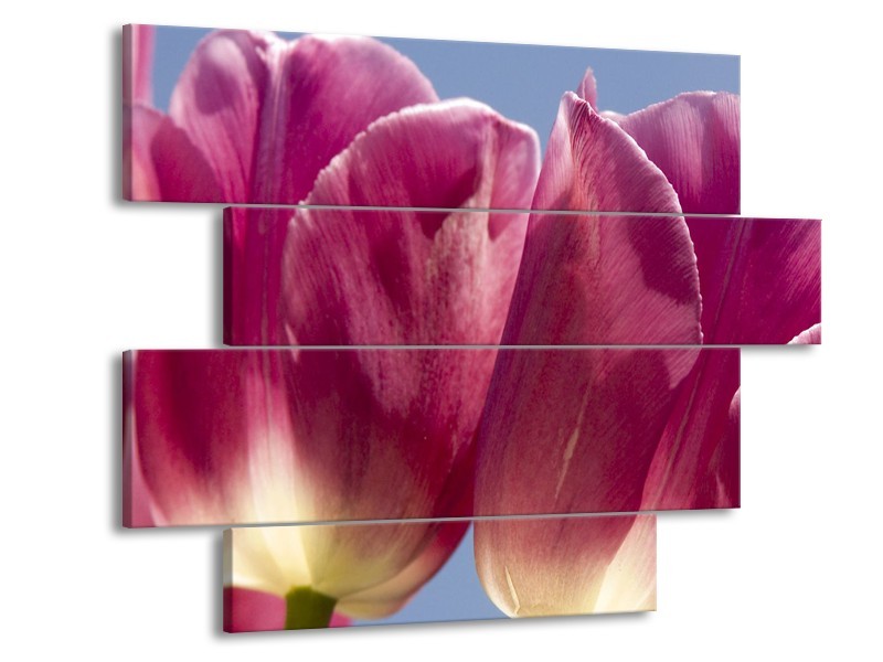 Glasschilderij Tulpen, Bloemen | Roze, Paars | 115x85cm 4Luik