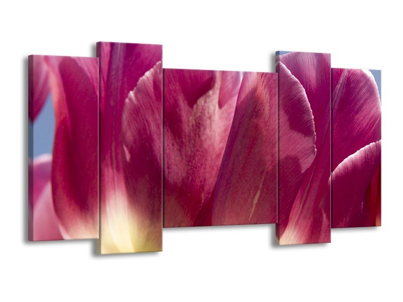 Glasschilderij Tulpen, Bloemen | Roze, Paars | 120x65cm 5Luik