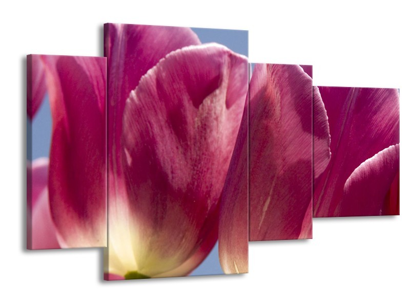 Glasschilderij Tulpen, Bloemen | Roze, Paars | 120x75cm 4Luik