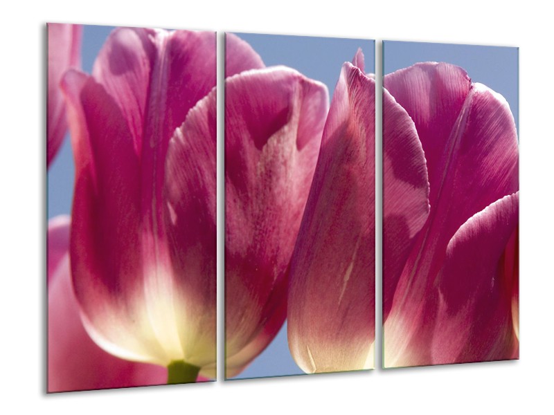 Canvas Schilderij Tulpen, Bloemen | Roze, Paars | 120x80cm 3Luik