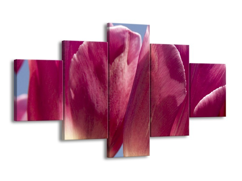 Canvas Schilderij Tulpen, Bloemen | Roze, Paars | 125x70cm 5Luik