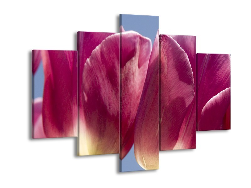 Glasschilderij Tulpen, Bloemen | Roze, Paars | 150x105cm 5Luik