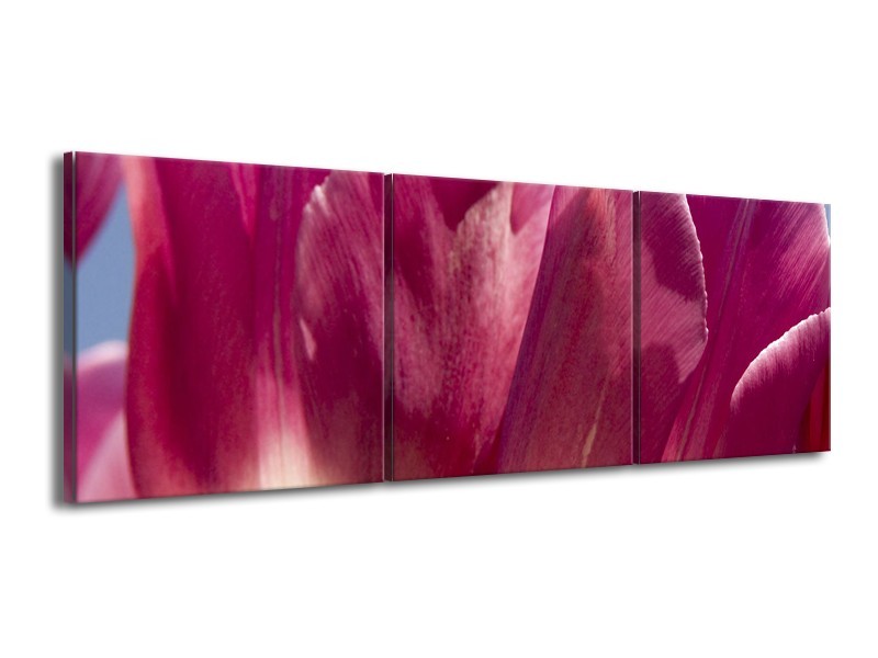 Canvas Schilderij Tulpen, Bloemen | Roze, Paars | 150x50cm 3Luik