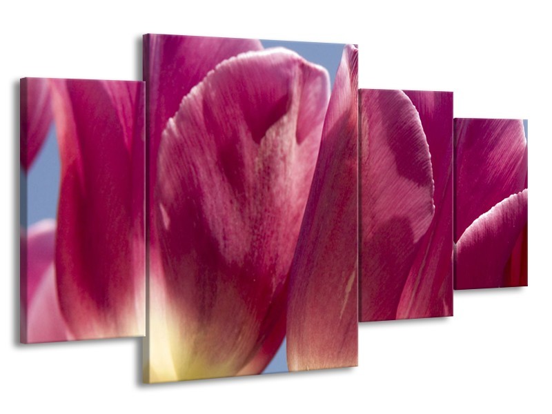 Glasschilderij Tulpen, Bloemen | Roze, Paars | 160x90cm 4Luik