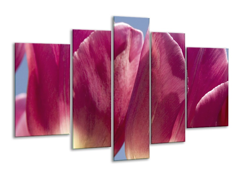 Canvas Schilderij Tulpen, Bloemen | Roze, Paars | 170x100cm 5Luik