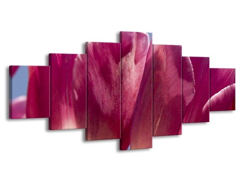 Canvas Schilderij Tulpen, Bloemen | Roze, Paars | 210x100cm 7Luik