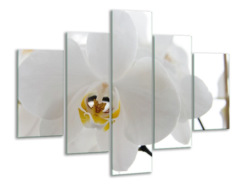 Glasschilderij Orchidee, Bloemen | Wit, Geel | 100x70cm 5Luik