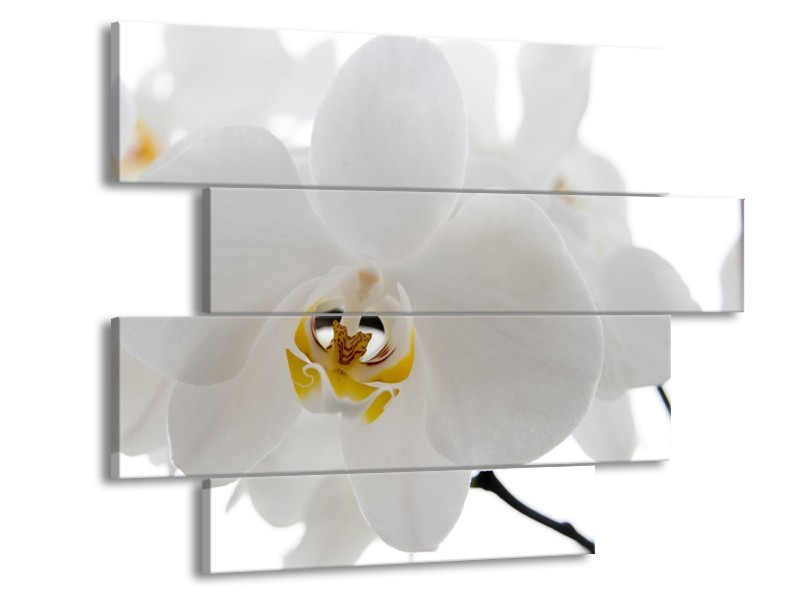 Canvas Schilderij Orchidee, Bloemen | Wit, Geel | 115x85cm 4Luik