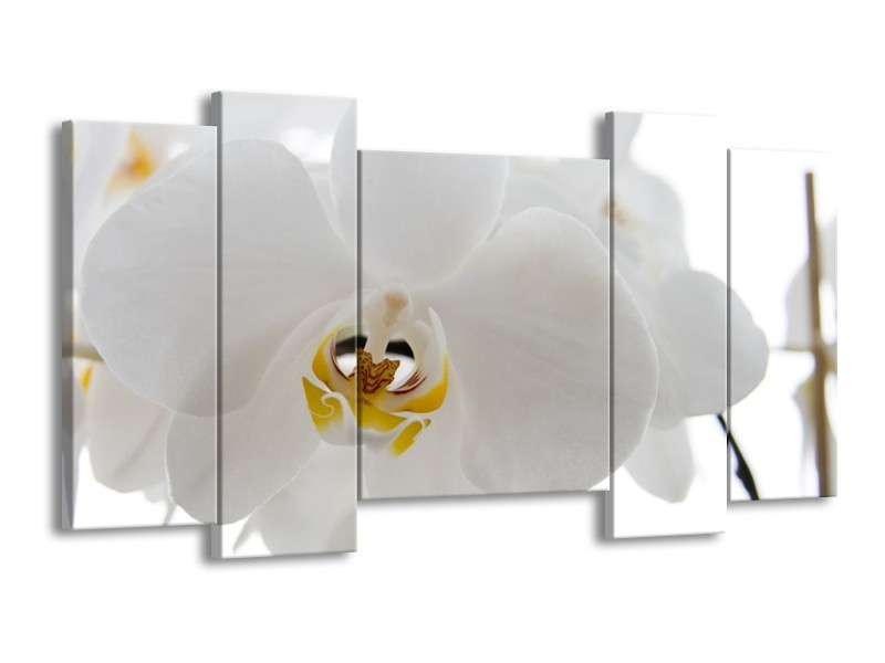 Canvas Schilderij Orchidee, Bloemen | Wit, Geel | 120x65cm 5Luik
