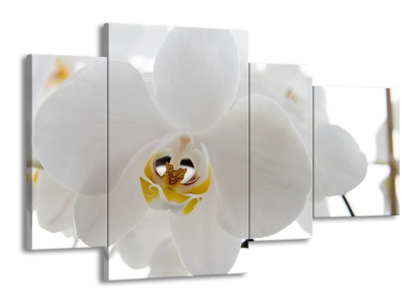 Canvas Schilderij Orchidee, Bloemen | Wit, Geel | 120x75cm 4Luik