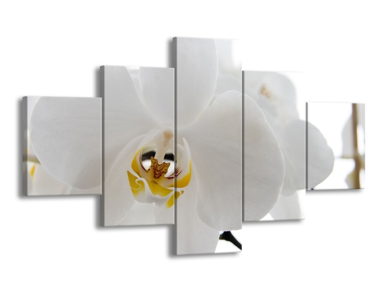 Canvas Schilderij Orchidee, Bloemen | Wit, Geel | 125x70cm 5Luik