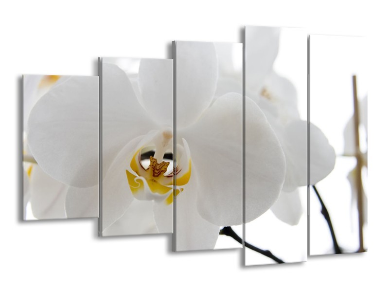 Canvas Schilderij Orchidee, Bloemen | Wit, Geel | 150x100cm 5Luik