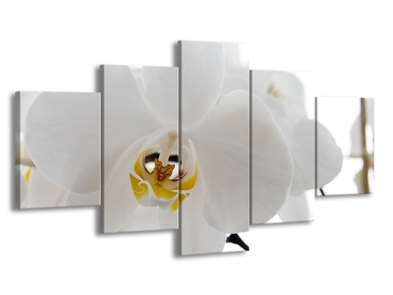 Canvas Schilderij Orchidee, Bloemen | Wit, Geel | 150x80cm 5Luik