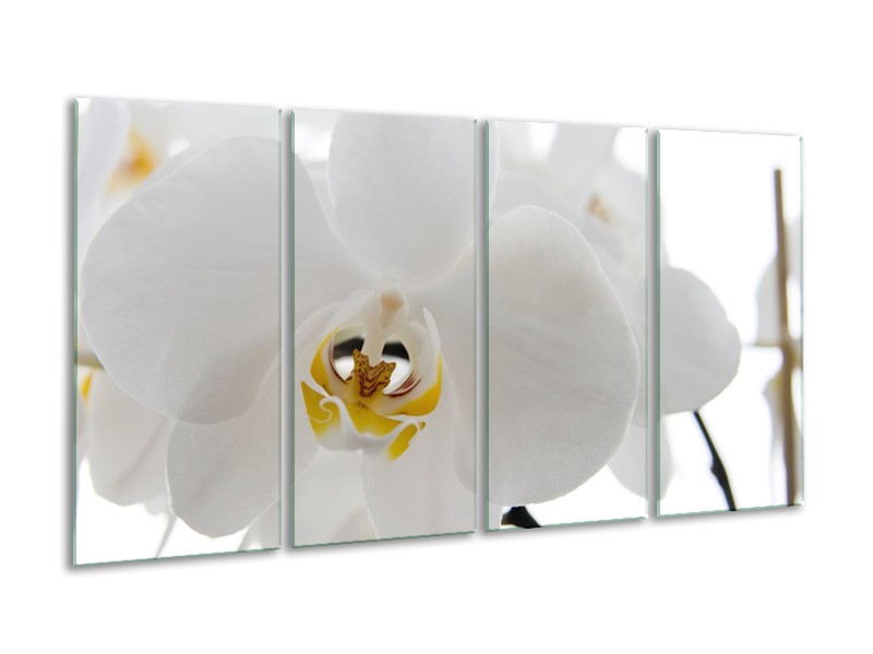 Canvas Schilderij Orchidee, Bloemen | Wit, Geel | 160x80cm 4Luik