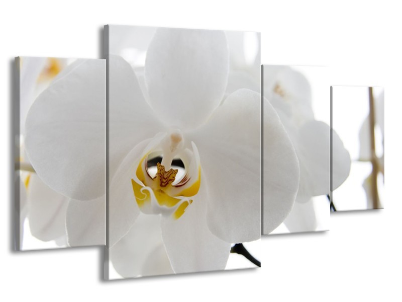 Canvas Schilderij Orchidee, Bloemen | Wit, Geel | 160x90cm 4Luik