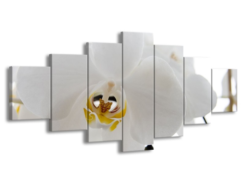 Canvas Schilderij Orchidee, Bloemen | Wit, Geel | 210x100cm 7Luik