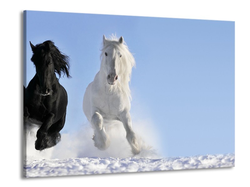 Canvas Schilderij Paard, Dieren | Blauw, Zwart, Wit | 100x70cm 1Luik