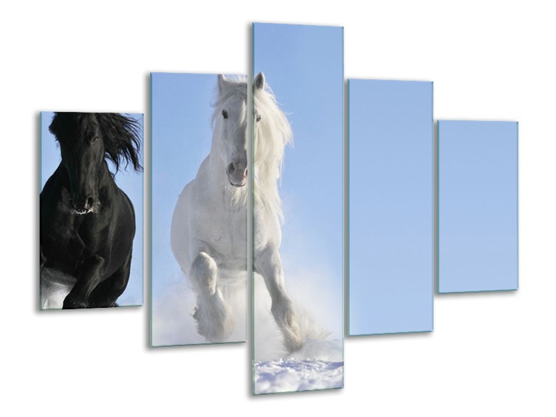 Canvas Schilderij Paard, Dieren | Blauw, Zwart, Wit | 100x70cm 5Luik