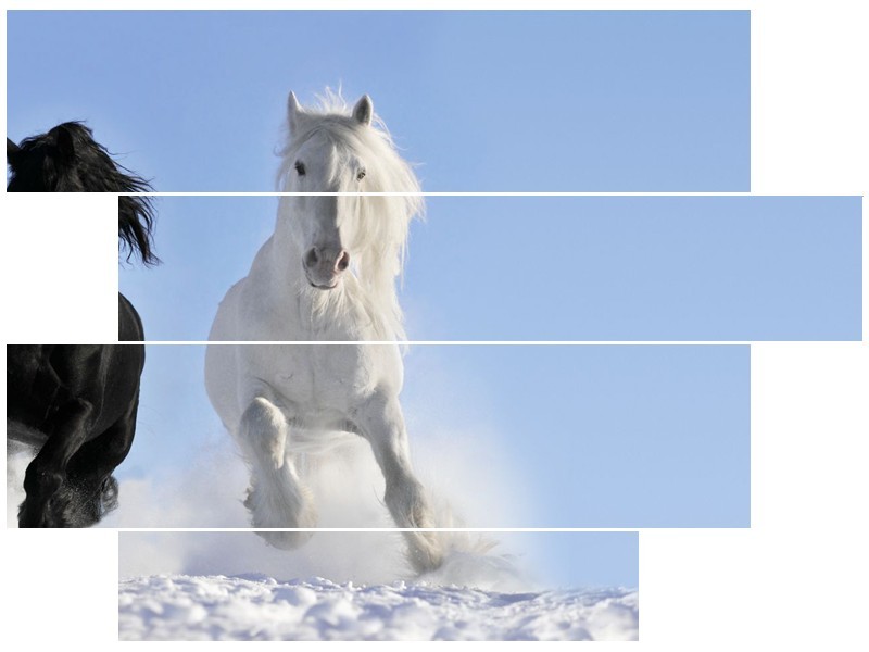 Glasschilderij Paard, Dieren | Blauw, Zwart, Wit | 115x85cm 4Luik