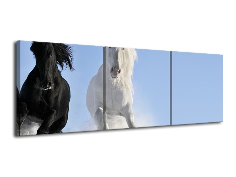 Glasschilderij Paard, Dieren | Blauw, Zwart, Wit | 120x40cm 3Luik