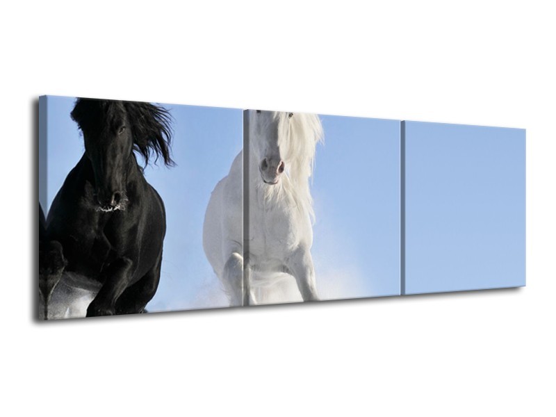 Canvas Schilderij Paard, Dieren | Blauw, Zwart, Wit | 120x40cm 3Luik