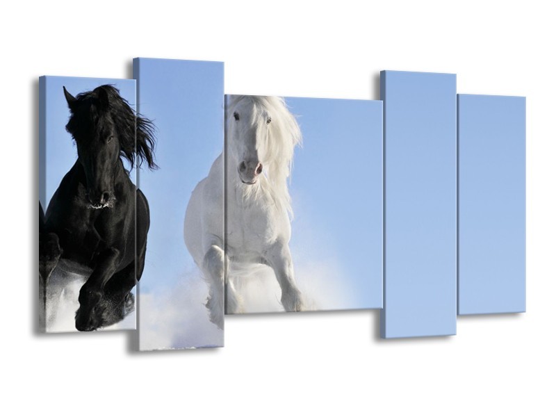Canvas Schilderij Paard, Dieren | Blauw, Zwart, Wit | 120x65cm 5Luik