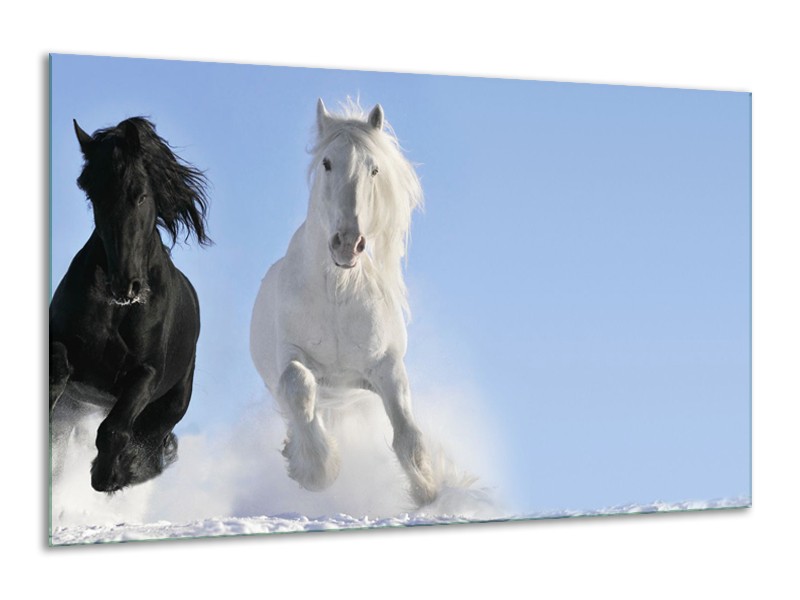Glasschilderij Paard, Dieren | Blauw, Zwart, Wit | 120x70cm 1Luik