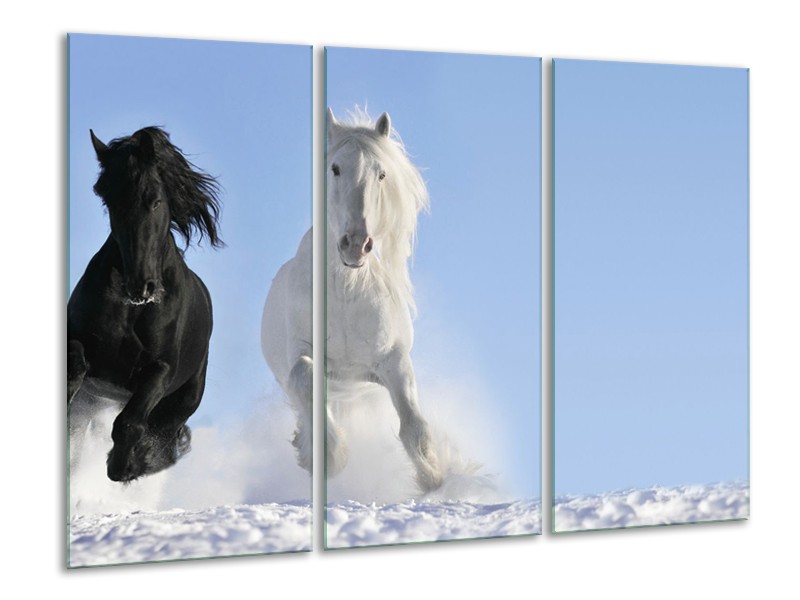 Canvas Schilderij Paard, Dieren | Blauw, Zwart, Wit | 120x80cm 3Luik