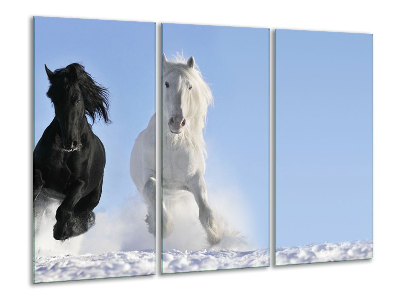 Glasschilderij Paard, Dieren | Blauw, Zwart, Wit | 120x80cm 3Luik