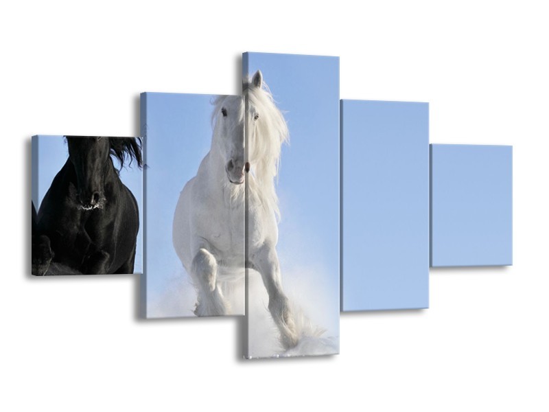 Canvas Schilderij Paard, Dieren | Blauw, Zwart, Wit | 125x70cm 5Luik
