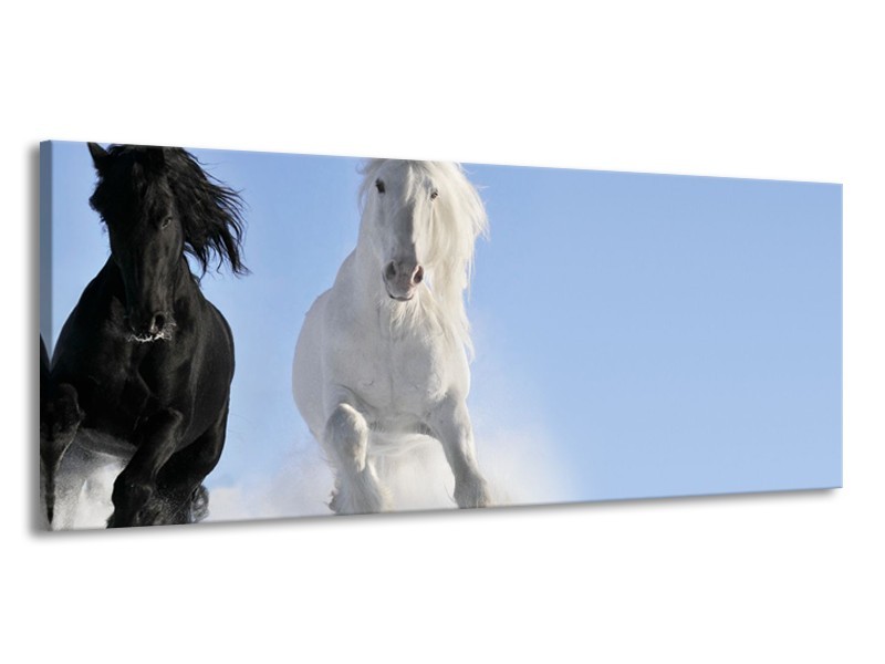 Canvas Schilderij Paard, Dieren | Blauw, Zwart, Wit | 145x58cm 1Luik