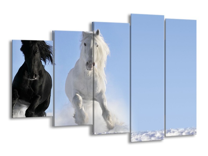 Glasschilderij Paard, Dieren | Blauw, Zwart, Wit | 150x100cm 5Luik