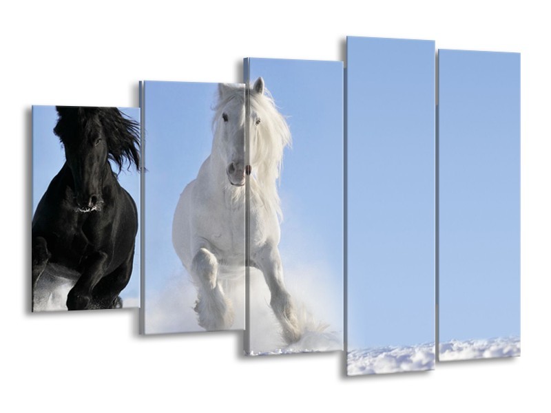 Canvas Schilderij Paard, Dieren | Blauw, Zwart, Wit | 150x100cm 5Luik