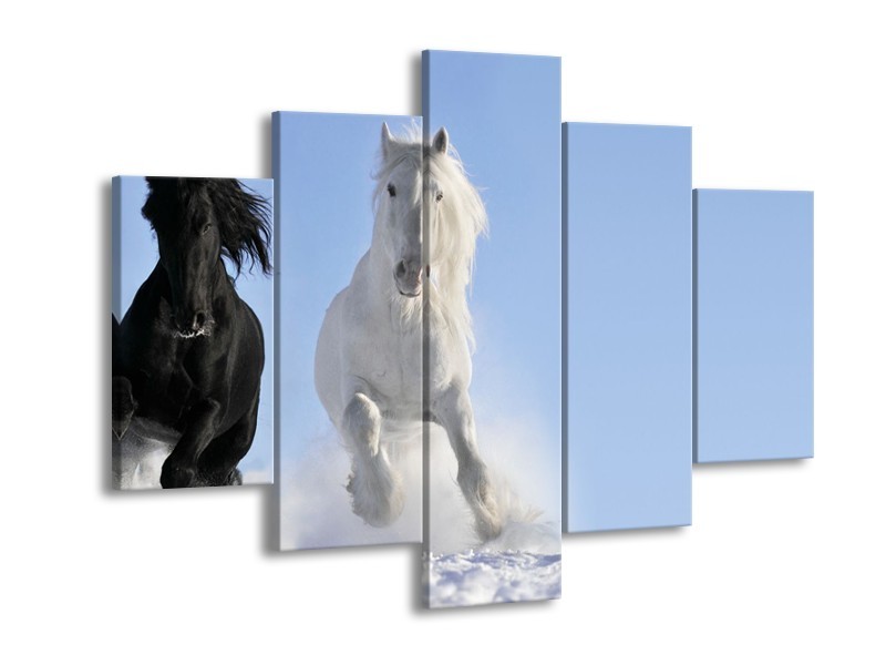Canvas Schilderij Paard, Dieren | Blauw, Zwart, Wit | 150x105cm 5Luik