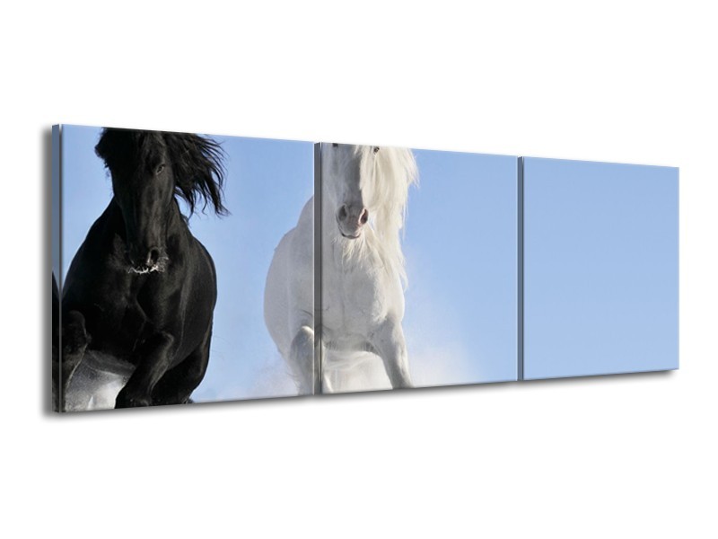 Glasschilderij Paard, Dieren | Blauw, Zwart, Wit | 150x50cm 3Luik