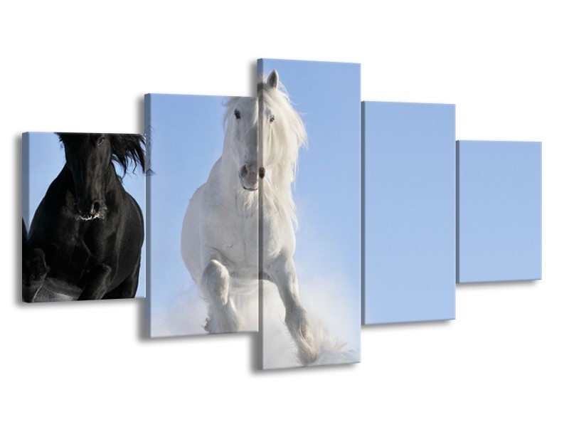 Canvas Schilderij Paard, Dieren | Blauw, Zwart, Wit | 150x80cm 5Luik