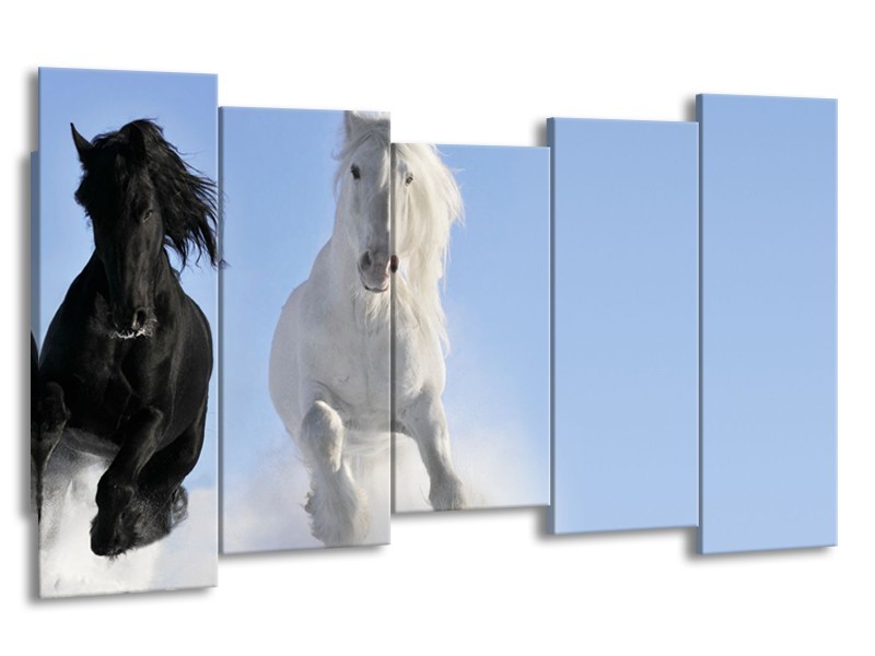 Canvas Schilderij Paard, Dieren | Blauw, Zwart, Wit | 150x80cm 5Luik